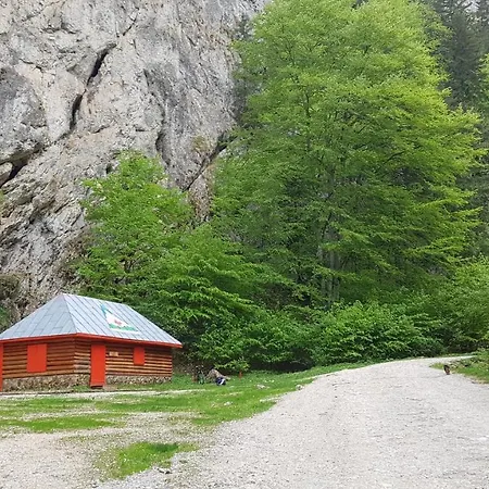 Pensiunea Casa Zarnesteana Affittacamere Zărneşti