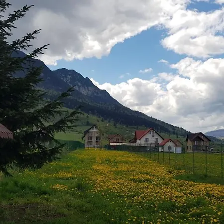Pensiunea Casa Zarnesteana Affittacamere Zărneşti